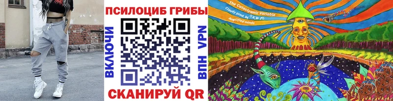 Псилоцибиновые грибы Cubensis  Макушино 